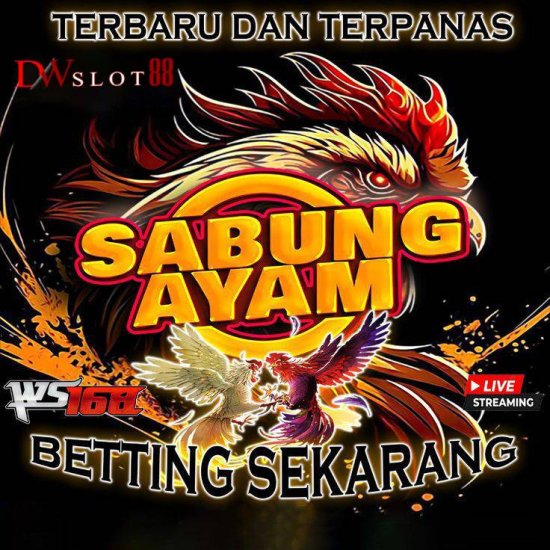 sambung.ayam.jpg