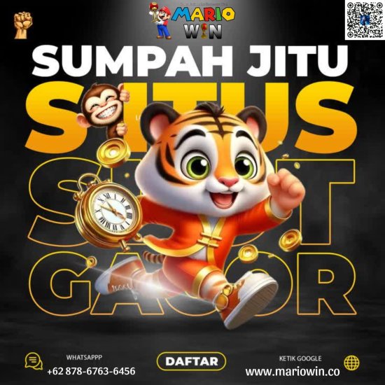 WhatsApp Image 2025-05-26 at 18.56.54 (2).jpeg