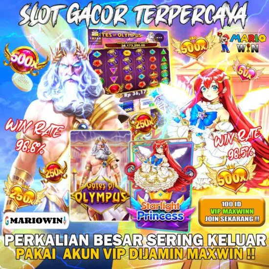 WhatsApp Image 2025-05-11 at 18.12.22.jpeg