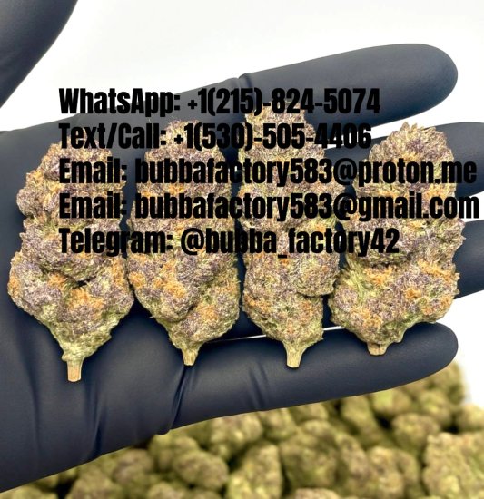 36d67c4d-361c-4218-b5dc-9c34f249f677 - Copy.JPG