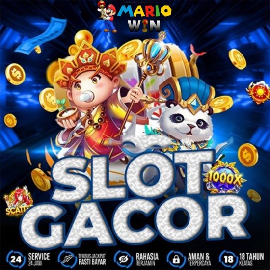 WhatsApp Image 2025-10-17 at 19.00.56.jpeg