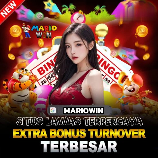 WhatsApp Image 2025-10-25 at 18.56.45.jpeg