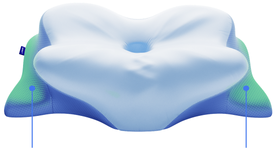 derila ergo pillows.png